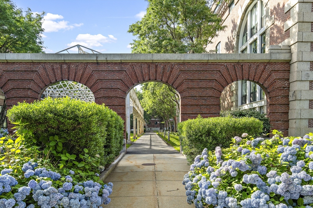 42 8th Street, Unit 5514 Boston, MA 02129 - Photo 27 of 38 a view of a garden with pathway