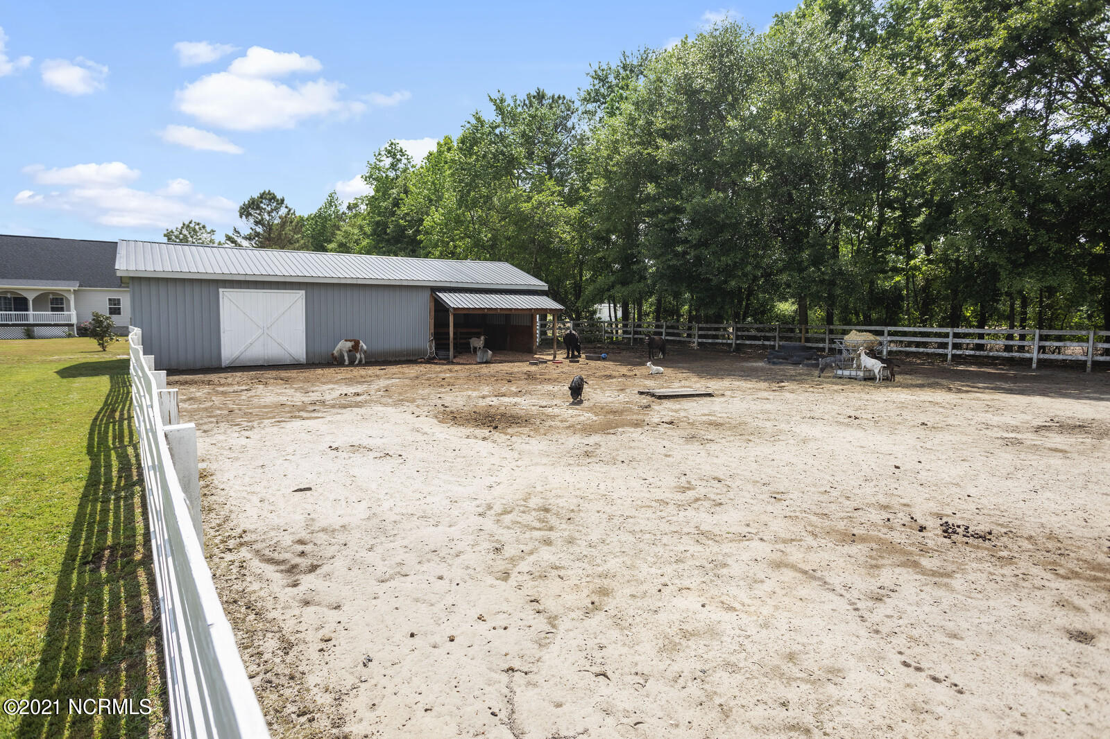 421 Jackson Store Road Beulaville, NC 28518 - Photo 80 of 99 Coral