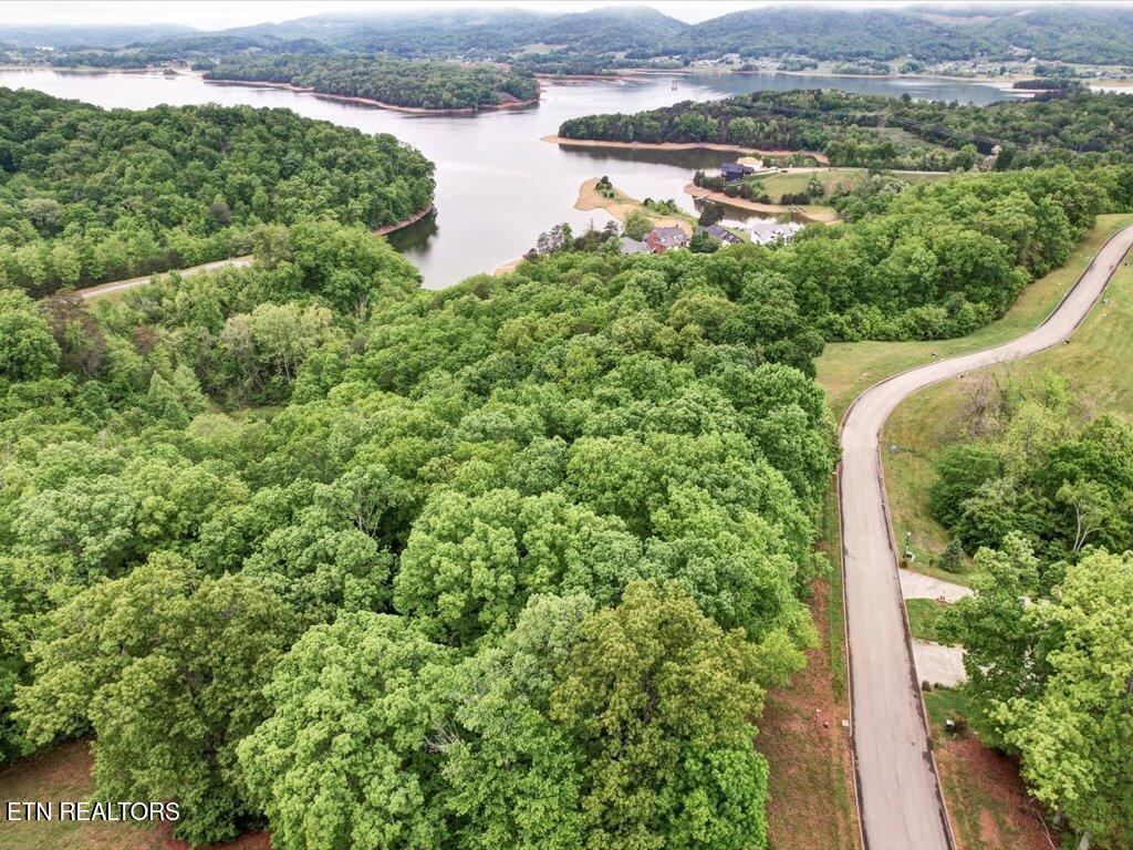 1987 Turner Landing Road Russellville, TN 37860 - Photo 14 of 23 1987 Turners Landing Rd - 15