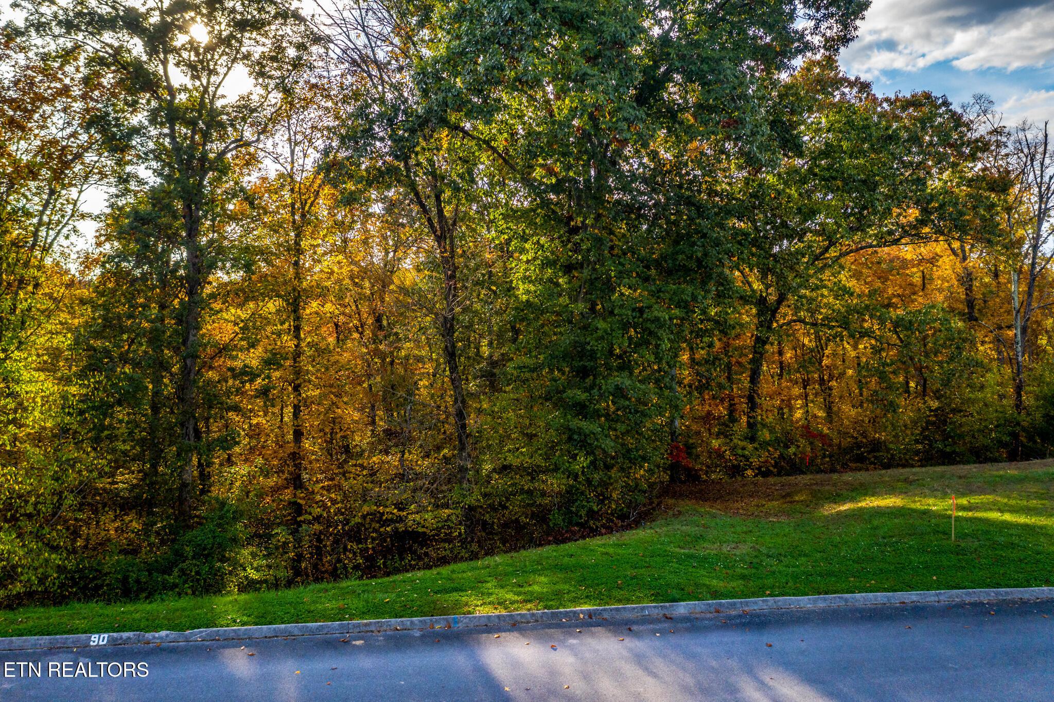 1987 Turner Landing Road Russellville, TN 37860 - Photo 9 of 23 1987 Turners Landing Rd - 10
