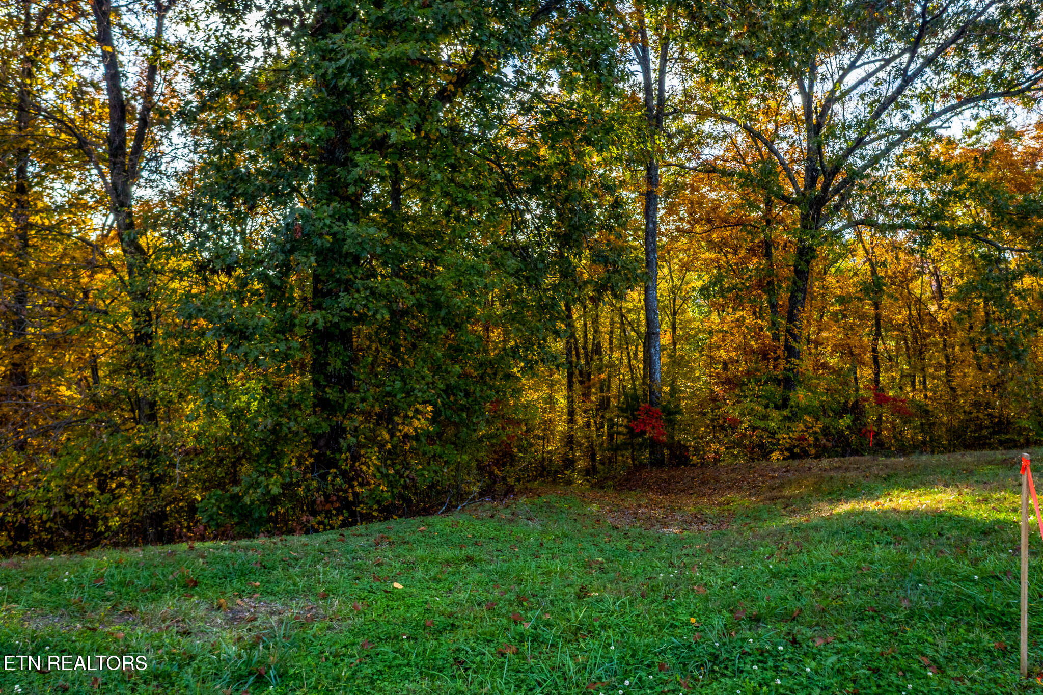 1987 Turner Landing Road Russellville, TN 37860 - Photo 10 of 23 1987 Turners Landing Rd - 11