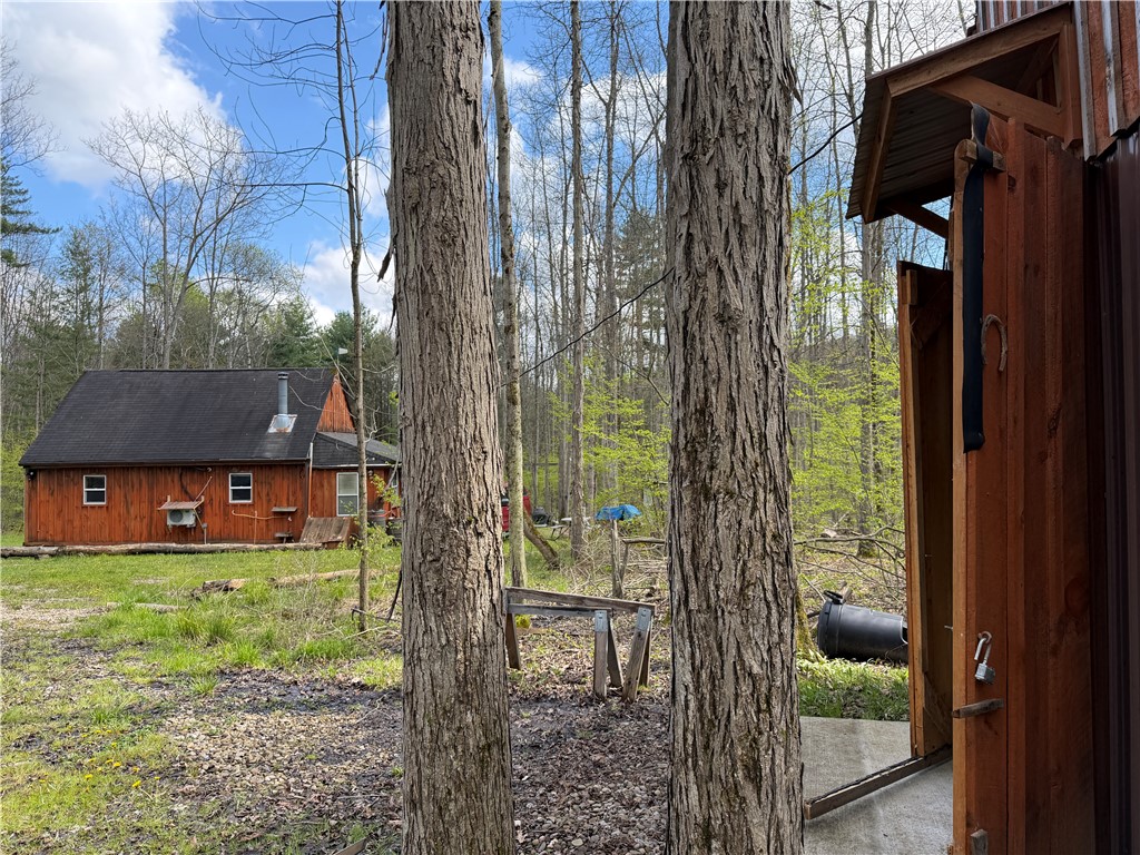 5373 Pig Tail Road Friendship, NY 14739 - Photo 28 of 50