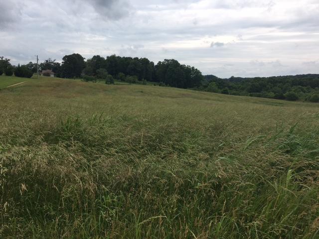 Caldwell Road Loudon, TN 37774 - Photo 1 of 12 IMG_2179