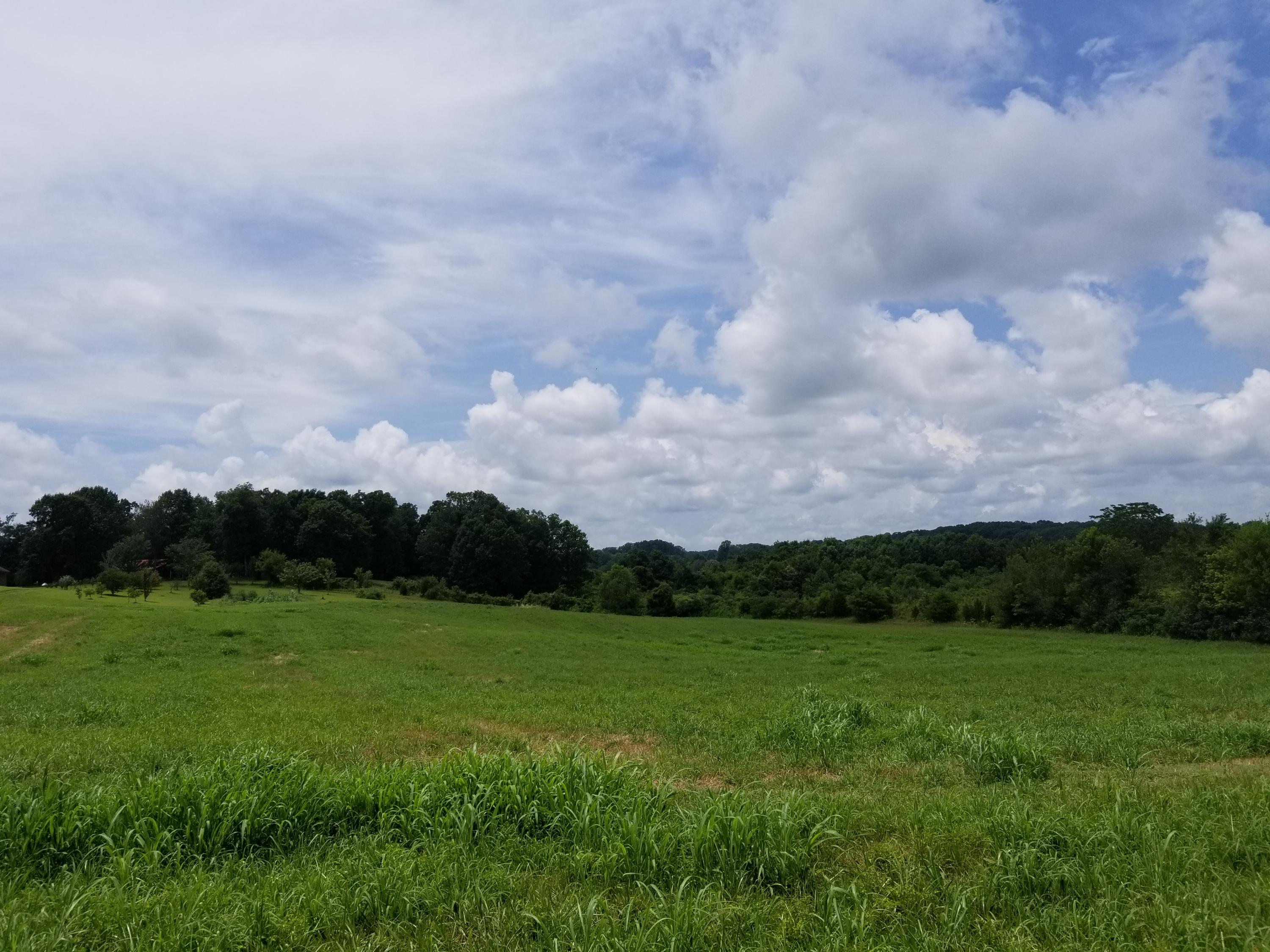 Caldwell Road Loudon, TN 37774 - Photo 11 of 12 clear