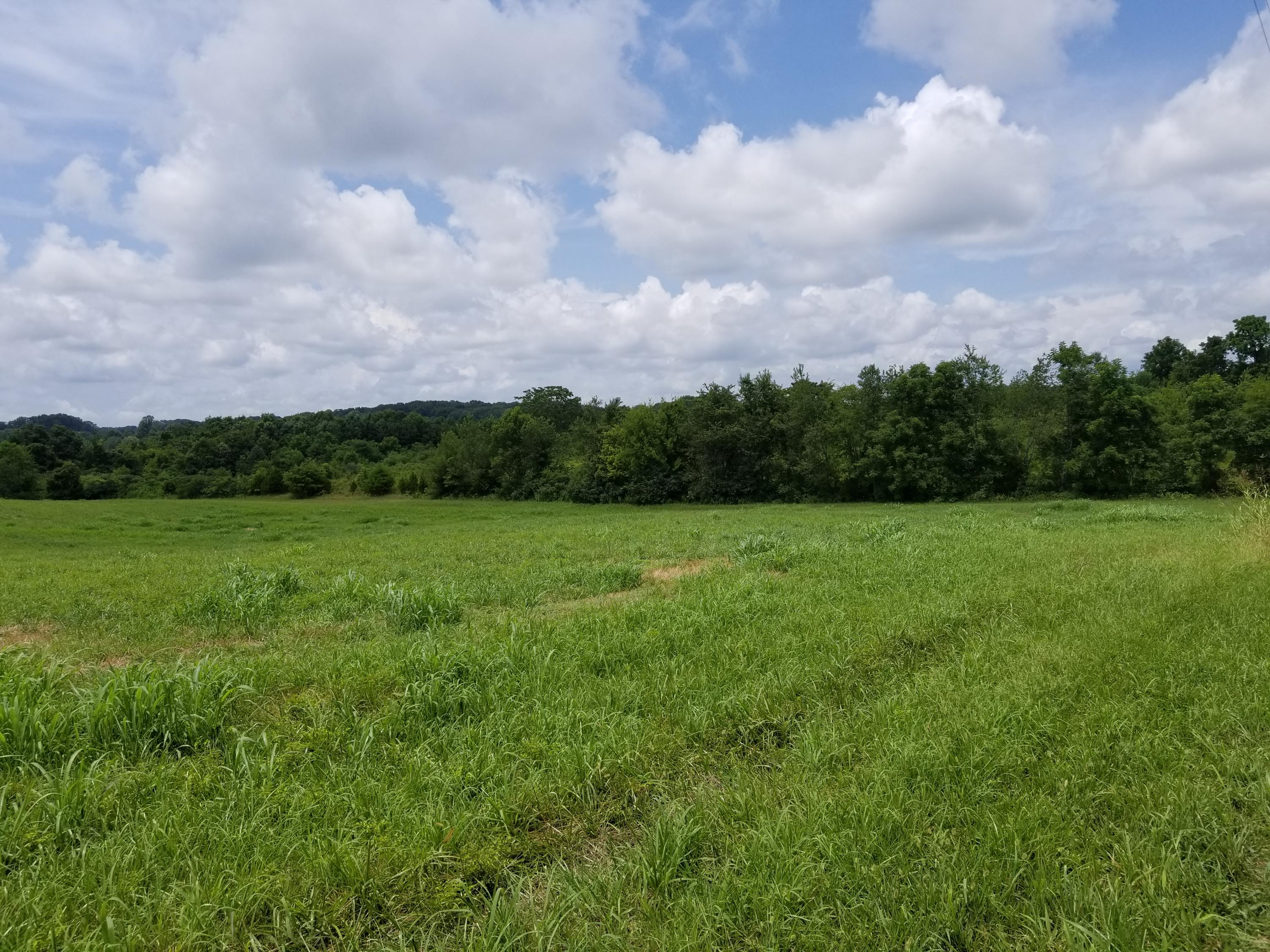 Caldwell Road Loudon, TN 37774 - Photo 12 of 12 clear