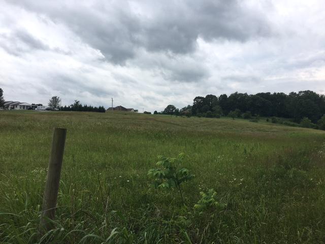 Caldwell Road Loudon, TN 37774 - Photo 3 of 12 IMG_2186