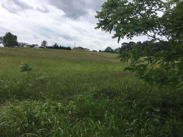 Caldwell Road Loudon, TN 37774 - Photo 5 of 12 IMG_2188