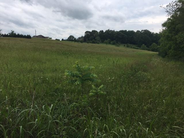 Caldwell Road Loudon, TN 37774 - Photo 6 of 12 IMG_2189