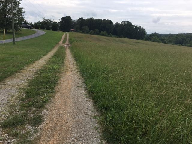 Caldwell Road Loudon, TN 37774 - Photo 10 of 12 Driveway