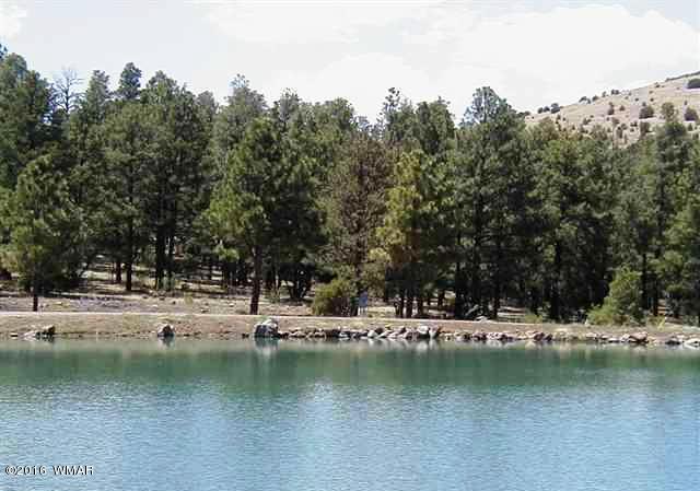 Lot 41 Red Cabin Ranch Vernon, AZ 85940 - Photo 1 of 9