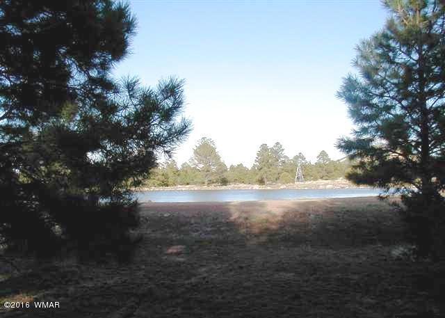 Lot 41 Red Cabin Ranch Vernon, AZ 85940 - Photo 2 of 9