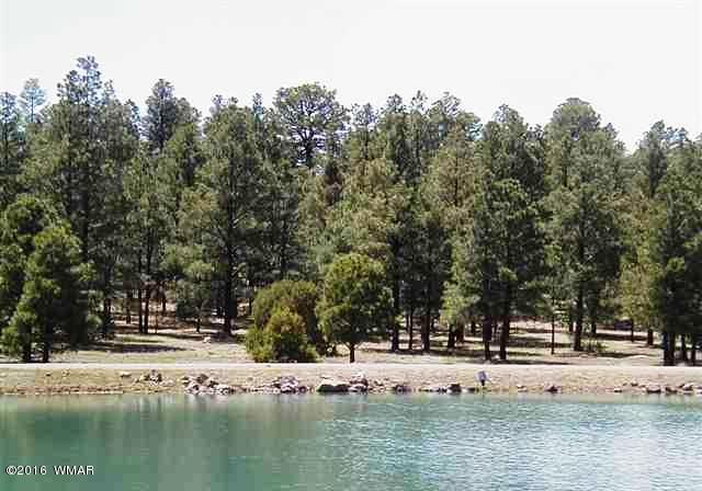 Lot 41 Red Cabin Ranch Vernon, AZ 85940 - Photo 3 of 9