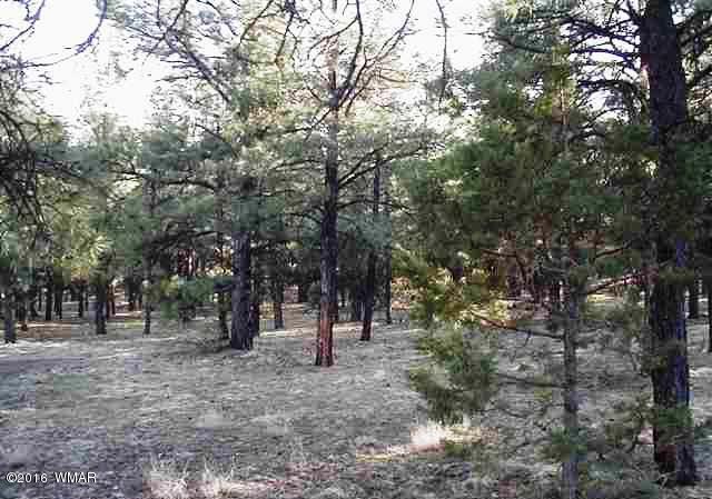 Lot 41 Red Cabin Ranch Vernon, AZ 85940 - Photo 4 of 9