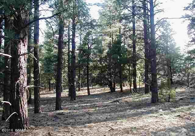 Lot 41 Red Cabin Ranch Vernon, AZ 85940 - Photo 5 of 9