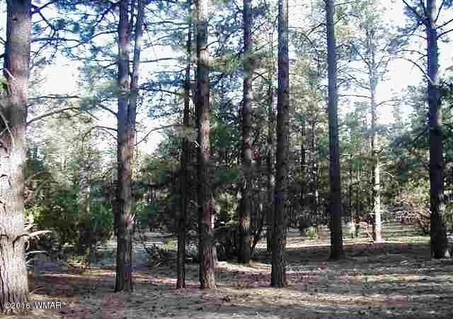 Lot 41 Red Cabin Ranch Vernon, AZ 85940 - Photo 6 of 9
