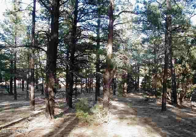 Lot 41 Red Cabin Ranch Vernon, AZ 85940 - Photo 7 of 9