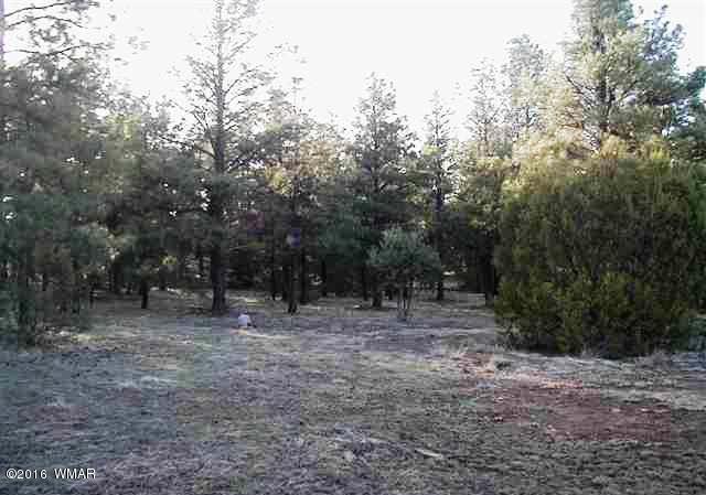 Lot 41 Red Cabin Ranch Vernon, AZ 85940 - Photo 8 of 9