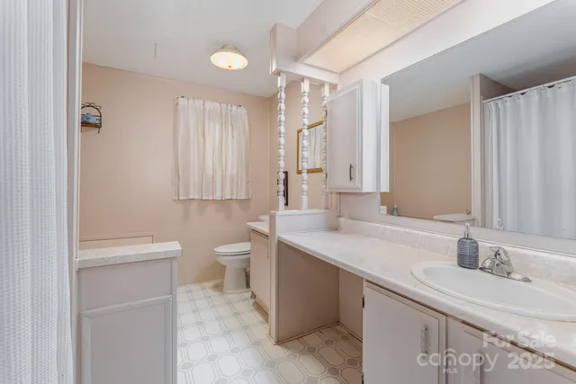 a bathroom with a sink a toilet and a large mirror