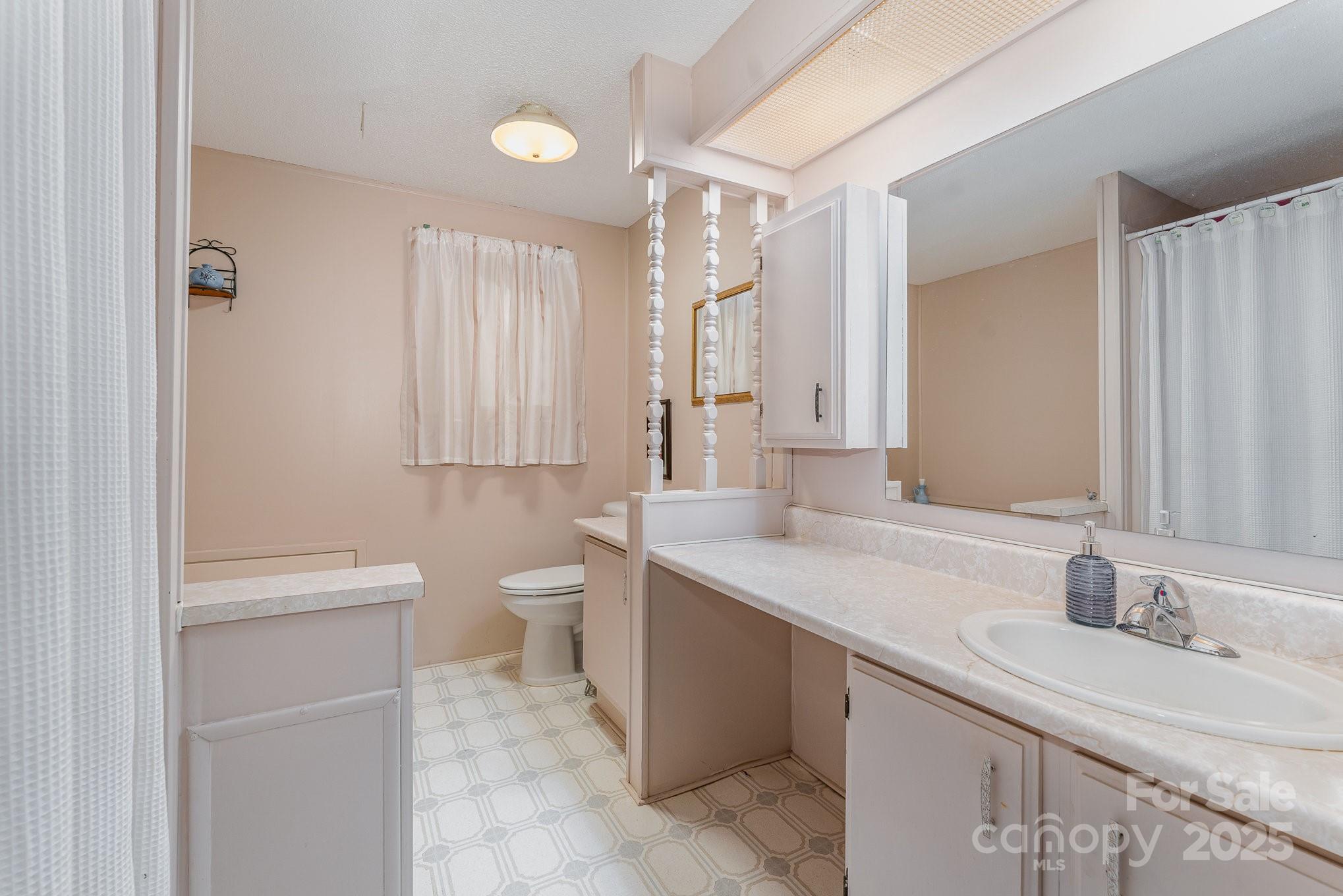 5013 Friendship Circle Road East Bend, NC 27018 - Photo 18 of 31 a bathroom with a sink a toilet and a large mirror