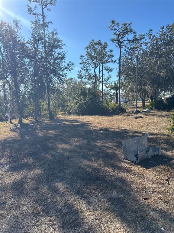 29310 Bryan Way Punta Gorda, FL 33982 - Photo 26 of 30 a view of a yard with a tree