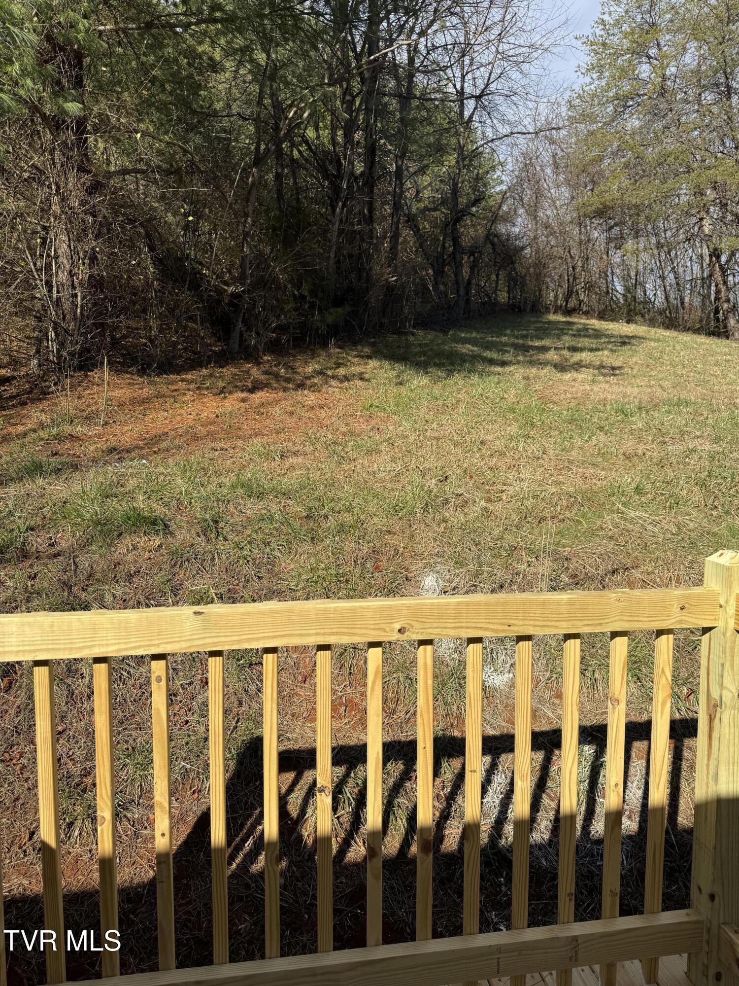 130 Lewis Blevins Road Elizabethton, TN 37643 - Photo 25 of 28 IMG_5771