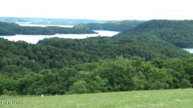 Lot 40 Swan Ridge Road Celina, TN 38551 - Photo 17 of 31 100_0044