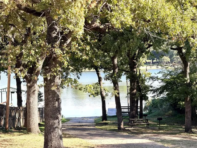 a view of a yard with trees