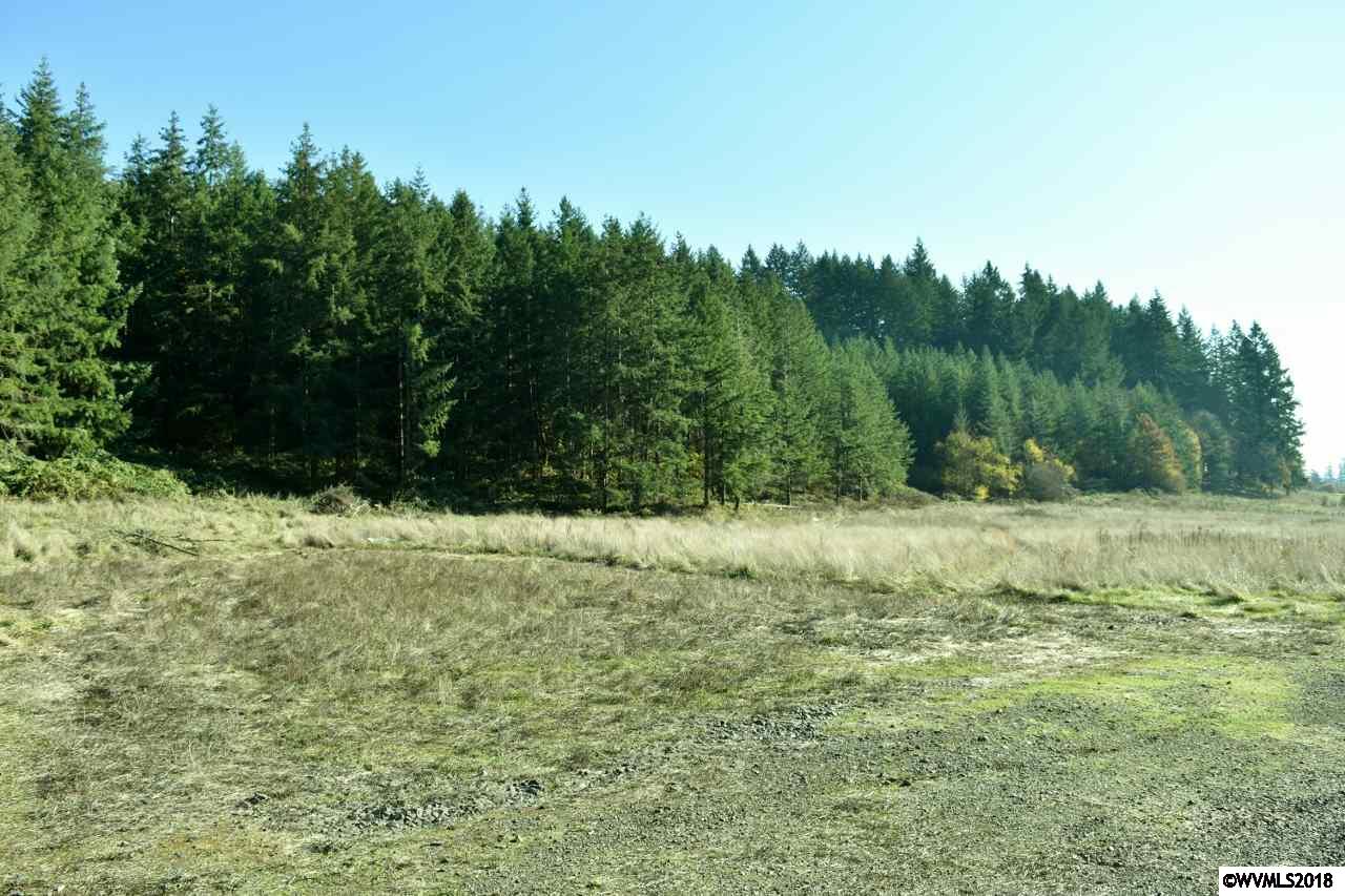 0 Hungry Hill Road Scio, OR 97374 - Photo 21 of 33 Gallery Image 21