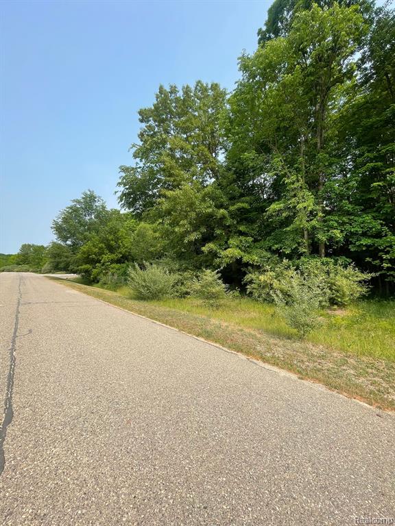 0 Mill Road Dryden, MI 48428 - Photo 7 of 18