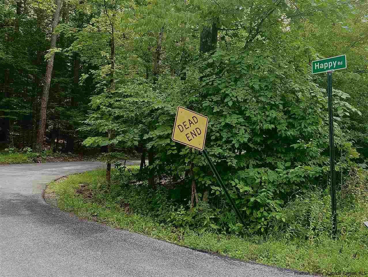 Tbd Happy Road Saugerties, NY 12477 - Photo 14 of 25 Photo 14