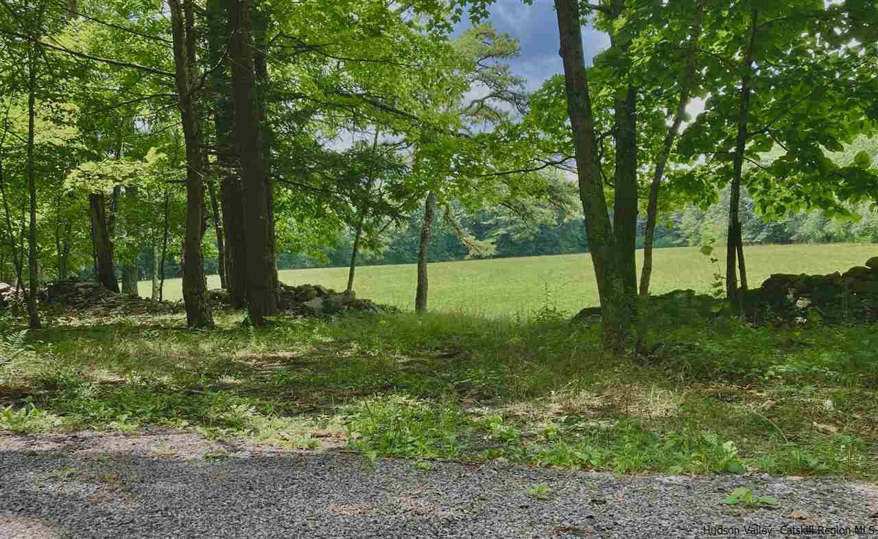 Tbd Happy Road Saugerties, NY 12477 - Photo 16 of 25 Photo 16