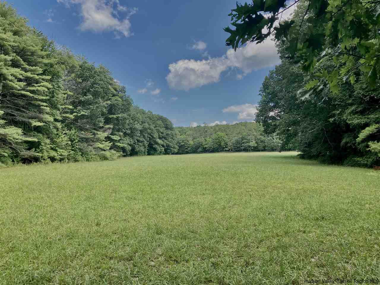 Tbd Happy Road Saugerties, NY 12477 - Photo 10 of 25 Photo 10