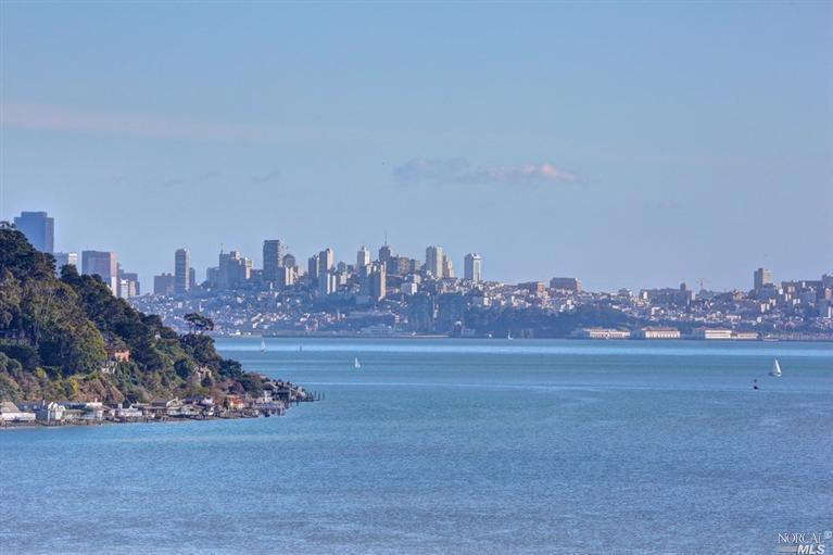41 Reed Ranch Road Tiburon, CA 94920 - Photo 1 of 1 a view of a city