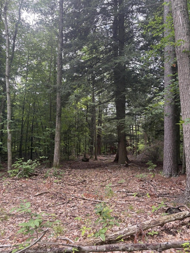 5 5 Mile Road Howard City, MI 49329 - Photo 69 of 99 Gallery Image 69