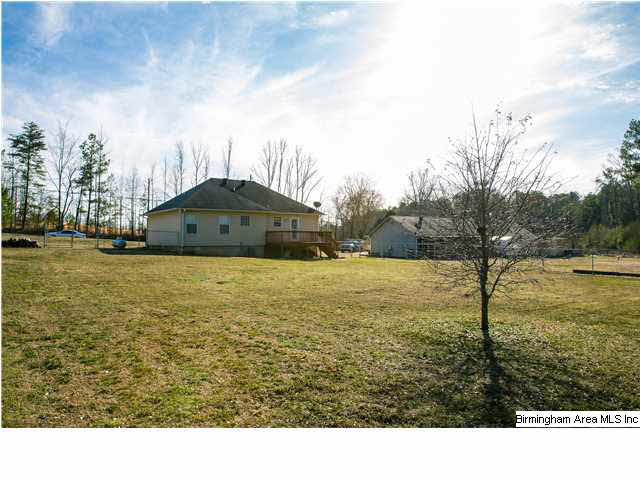 495 Reid Road Trafford, AL 35172 - Photo 20 of 21