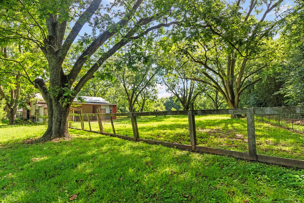 1691 Spring Street Newton, AL 36352 - Photo 53 of 58