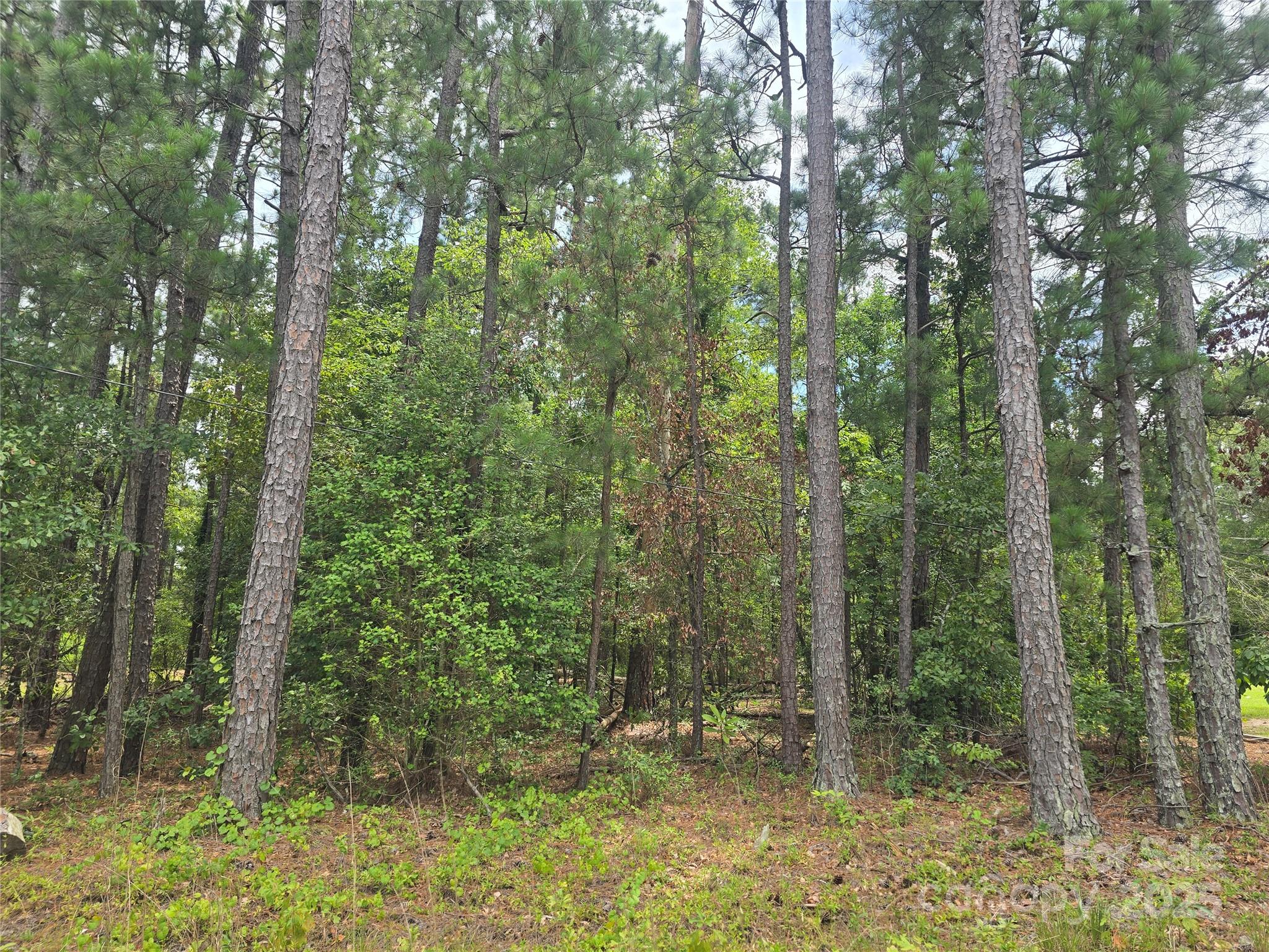 0 Johnny Williams Road, Unit 5 Kershaw, SC 29067 - Photo 2 of 6 a view of forest