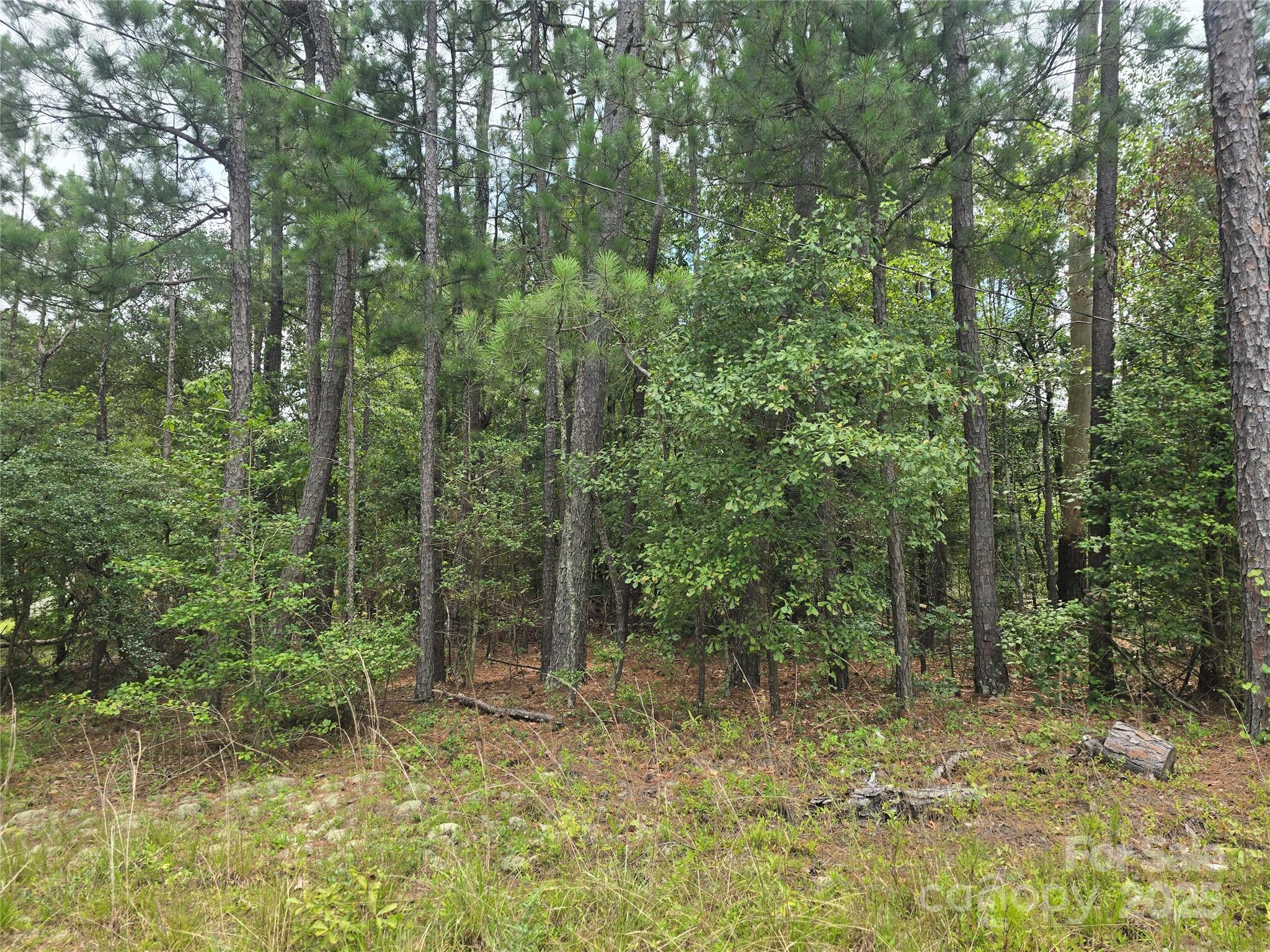 0 Johnny Williams Road, Unit 5 Kershaw, SC 29067 - Photo 3 of 6 a view of a forest with trees in the background