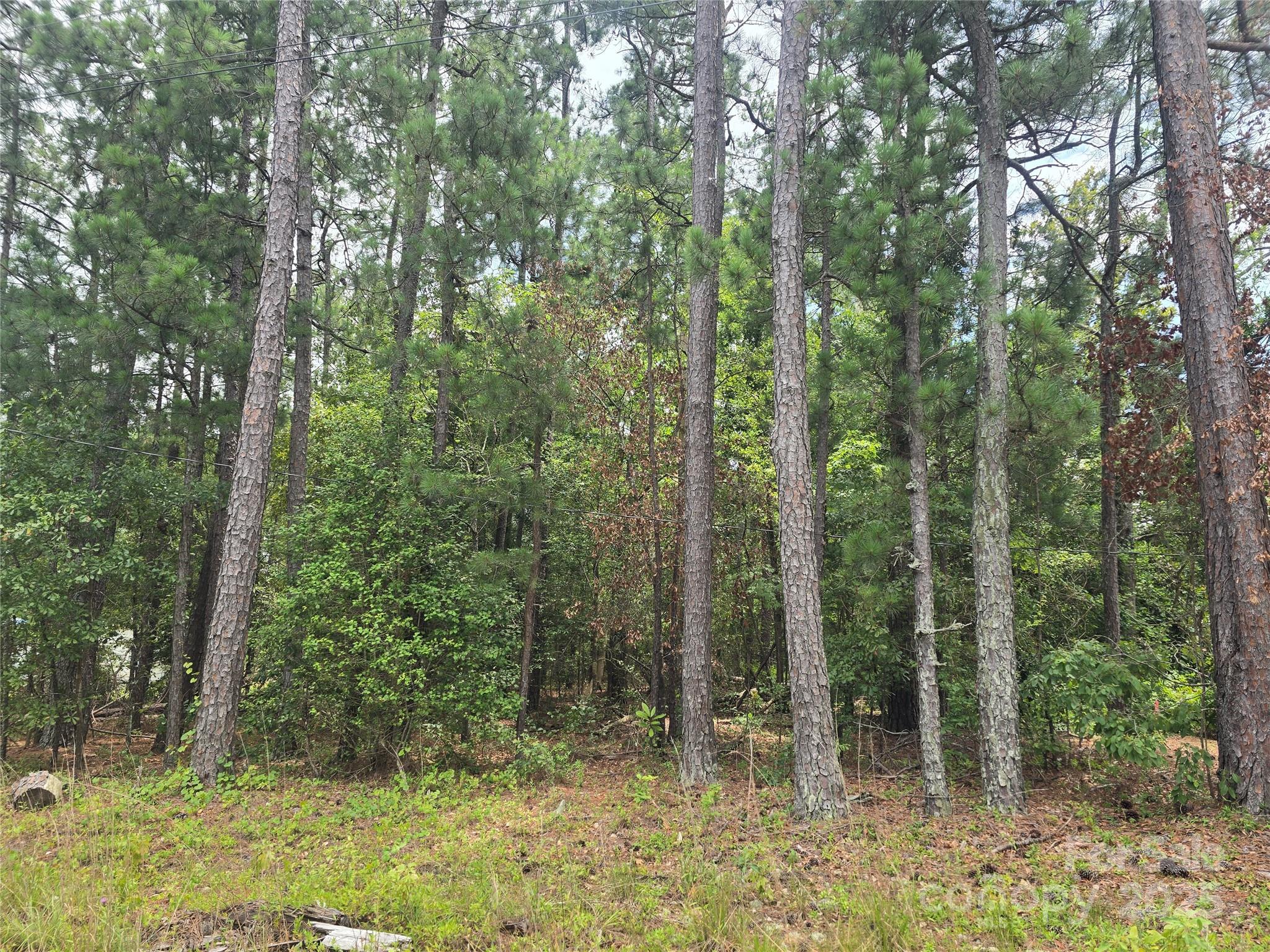 0 Johnny Williams Road, Unit 5 Kershaw, SC 29067 - Photo 5 of 6