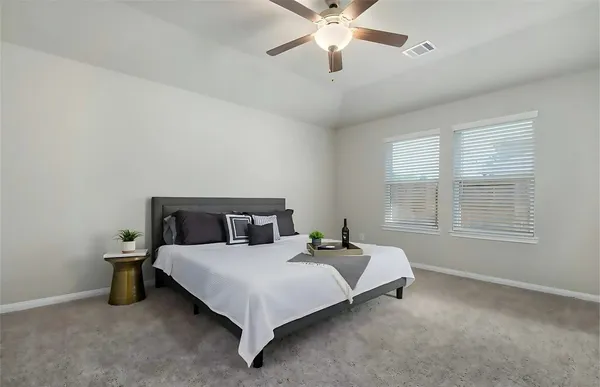 $2,500 | 205 Cresta Cv Court, Montgomery, TX 77316