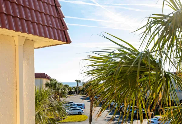 a view of a palm plant that is in front of a building