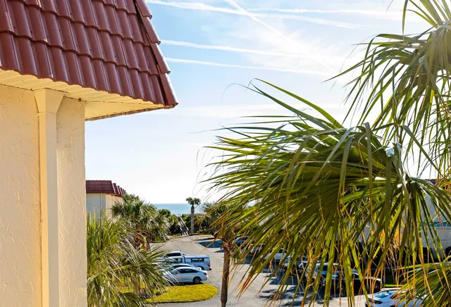 a view of a palm plant that is in front of a building