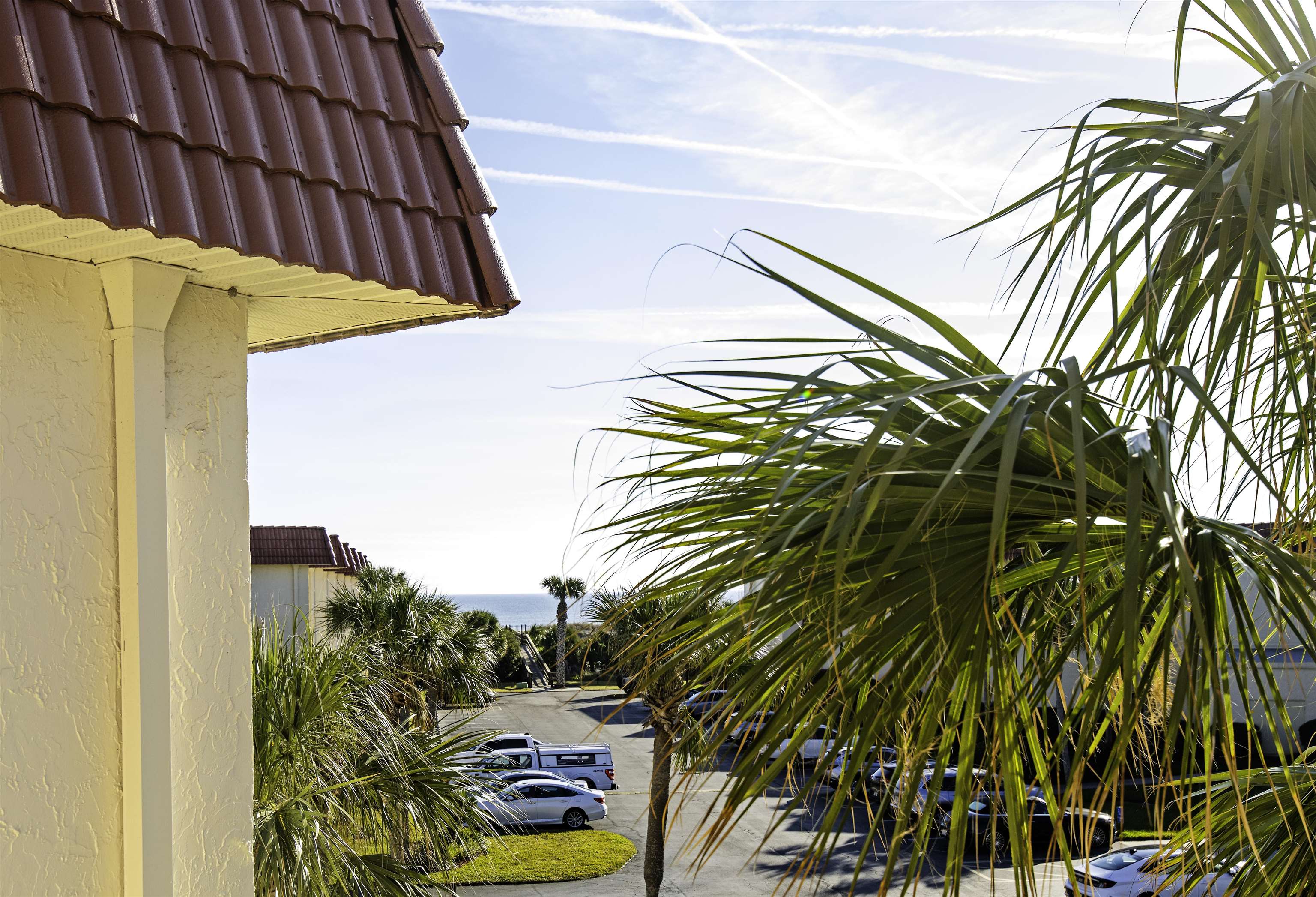 880 A1A Beach Boulevard, Unit 7302 St. Augustine, FL 32080 - Photo 19 of 28 a view of a palm plant that is in front of a building