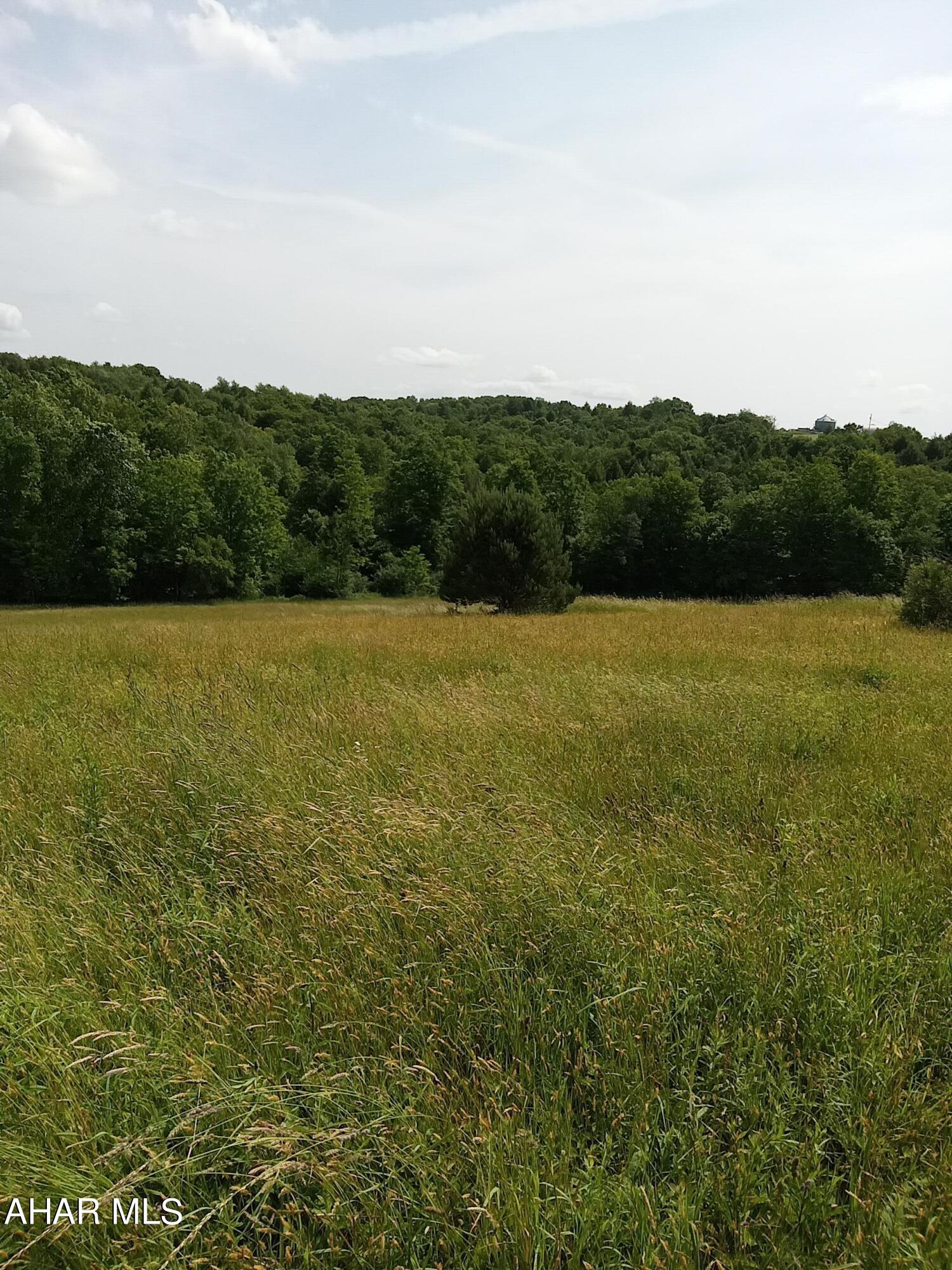 1803 Munster Road Portage, PA 15946 - Photo 24 of 37
