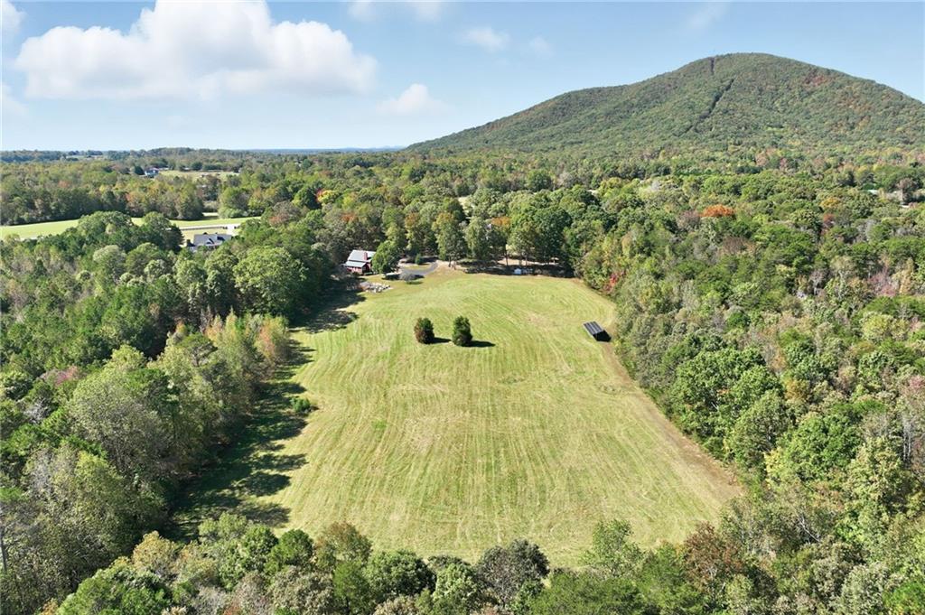 6752 Shoal Creek Road Clermont, GA 30527 - Photo 40 of 65 a view of a swimming pool with a yard