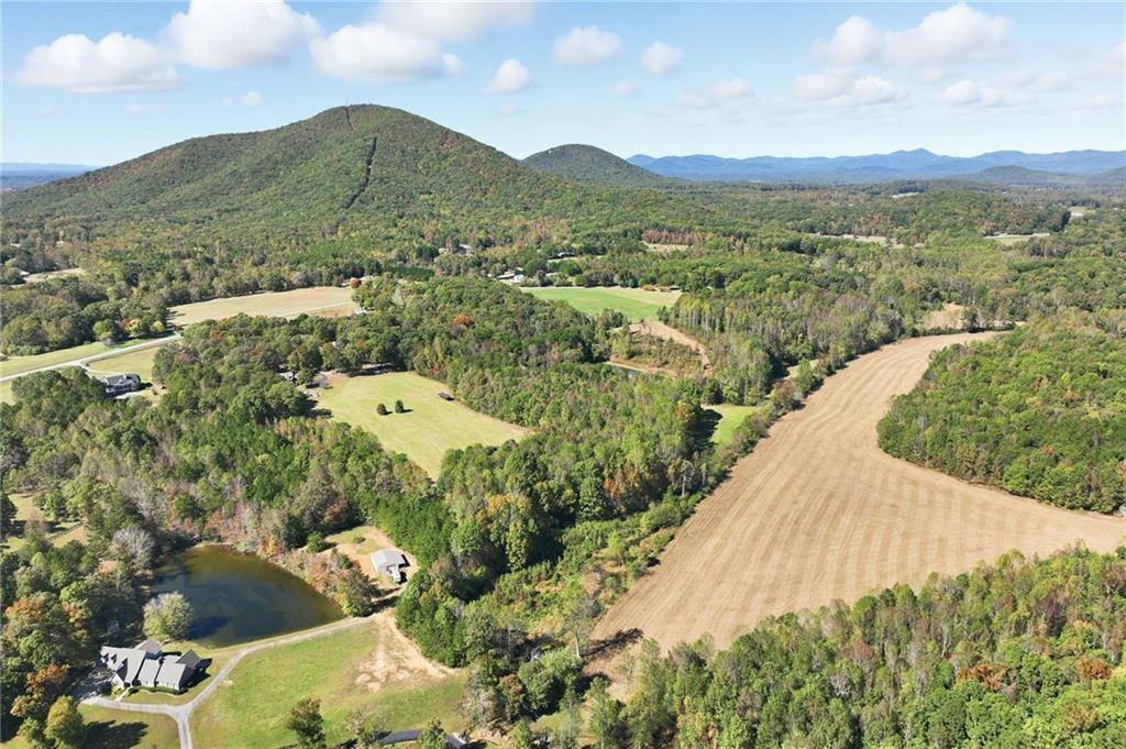 6752 Shoal Creek Road Clermont, GA 30527 - Photo 41 of 65