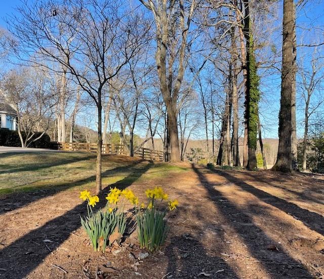 6752 Shoal Creek Road Clermont, GA 30527 - Photo 61 of 65 a view of yard with swimming pool