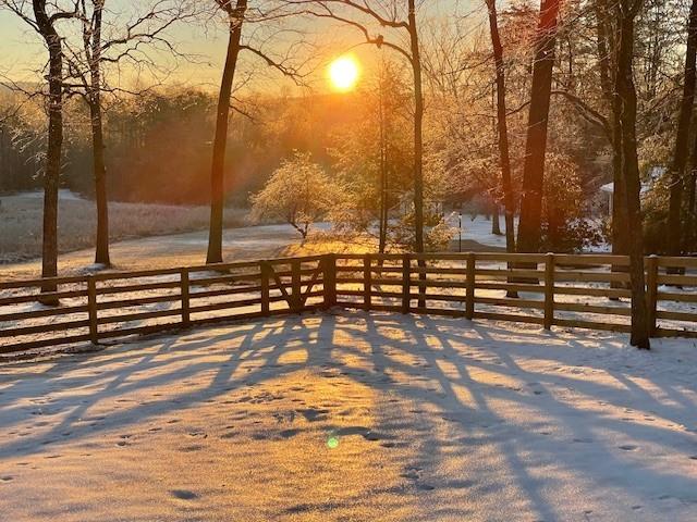 6752 Shoal Creek Road Clermont, GA 30527 - Photo 63 of 65 a view of outdoor space with trees