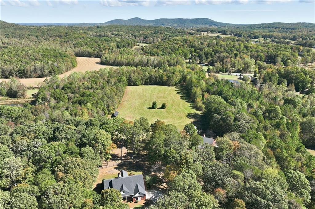 6752 Shoal Creek Road Clermont, GA 30527 - Photo 77 of 94