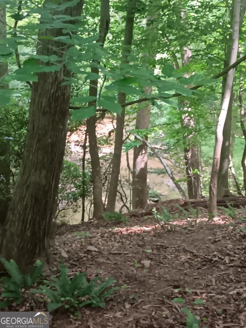 0 Pulliam Mill Road Dewy Rose, GA 30634 - Photo 1 of 13